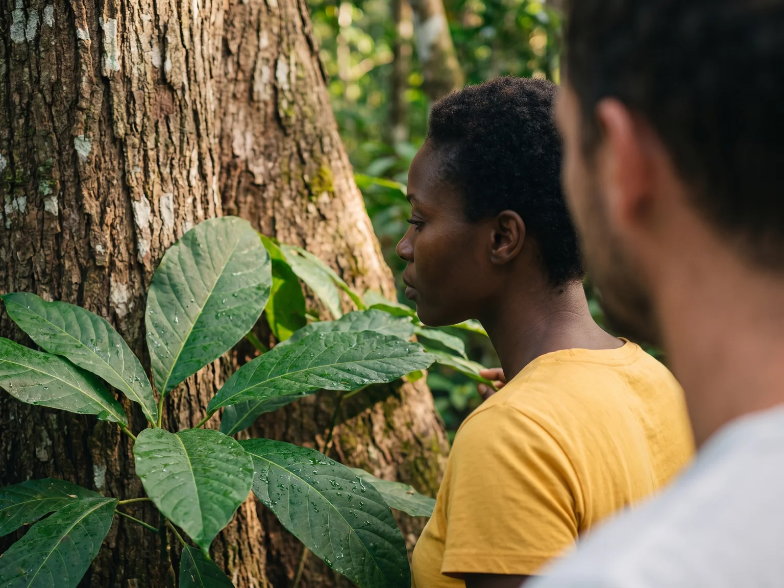Fictional visitors looking at tropical foliage beside a tree